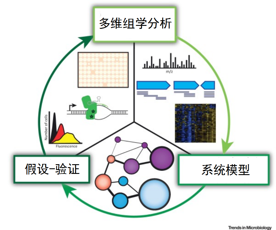 多维组学服务