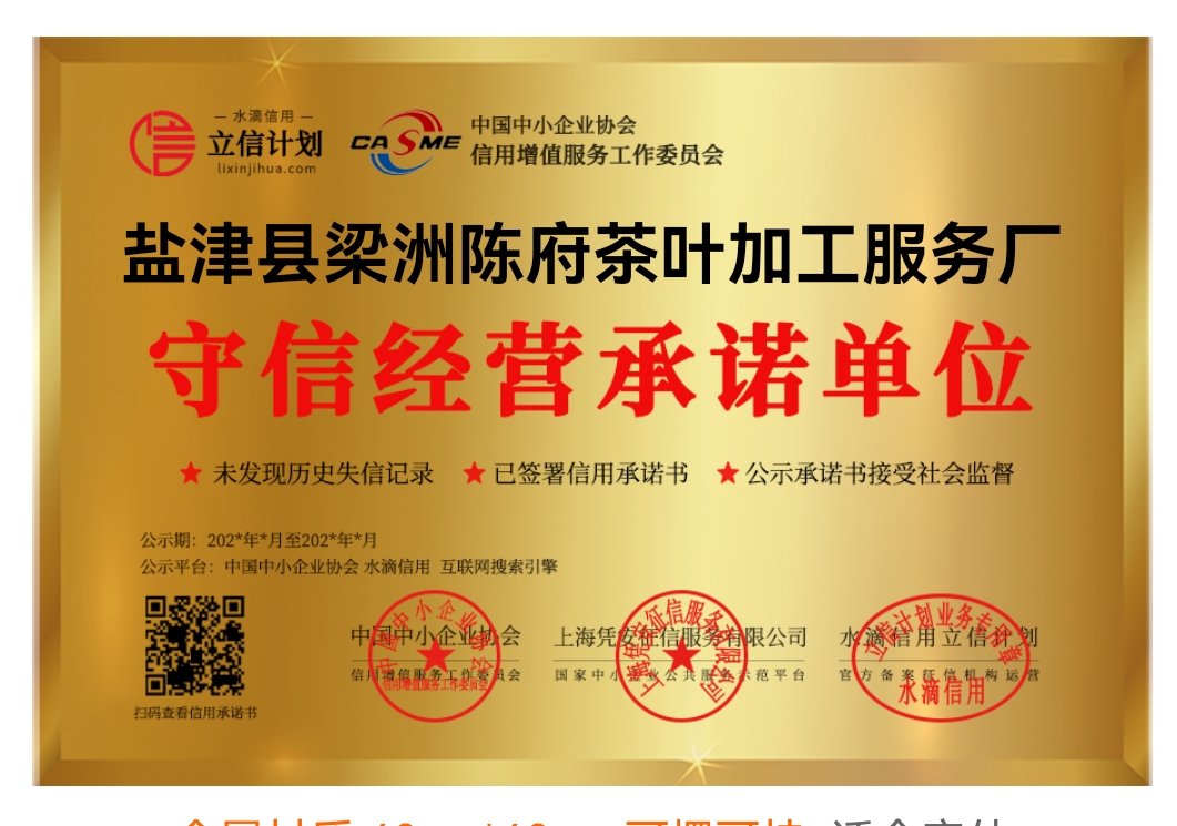 荣誉 证书 梁洲陈府