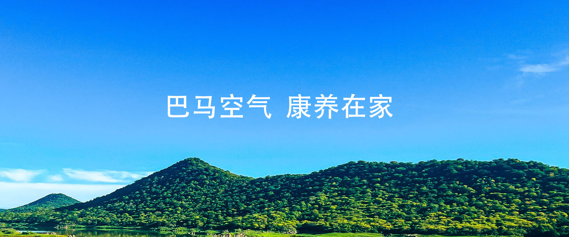 第二森林,第二森林森林氧吧,第二森林森林氧离子,上海第二森林